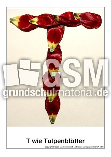 T-wie-Tulpenblätter.pdf
